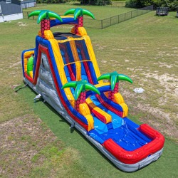 palms1 1773673733 18 Foot Dual Lane Palms