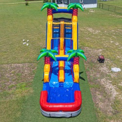 palms2 1773673733 18 Foot Dual Lane Palms