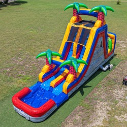 palms3 1773673733 18 Foot Dual Lane Palms