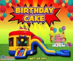 Birthday Cake Wet/Dry