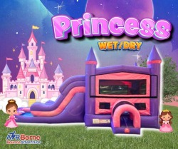 Princess Bounce House Combo